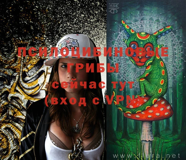 МДПВ Михайловка
