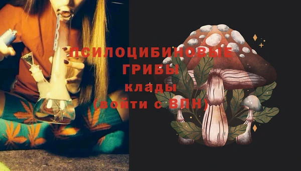 спайс Нефтегорск